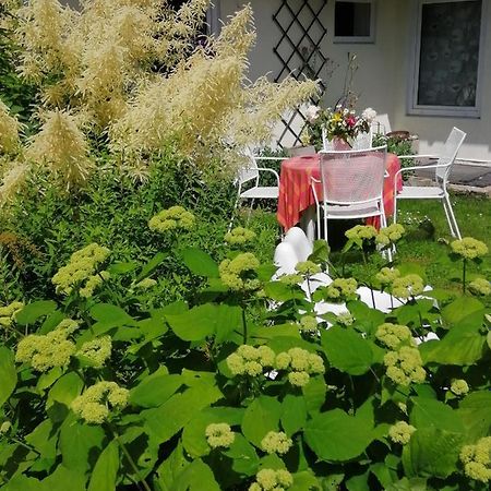 Secret garden house in the center of Sigulda Villa Buitenkant foto