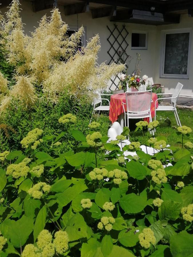 Secret garden house in the center of Sigulda Villa Buitenkant foto