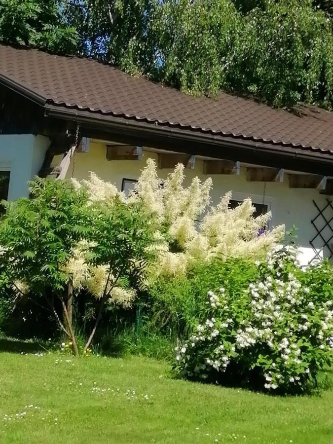 Secret garden house in the center of Sigulda Villa Buitenkant foto